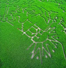 the inbound marketing maze